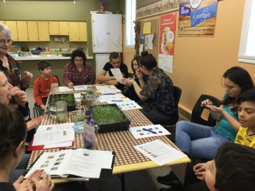 atelier du 10-03-018 Pousses et germinations-11